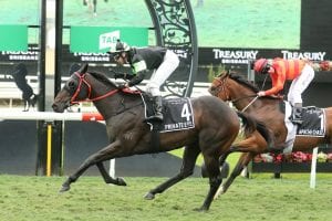 Private Eye Makes Impressive Run Home To Win Queensland Guineas