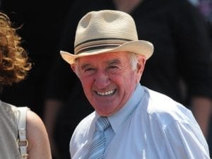 True Excelsior chasing Randwick stakes win