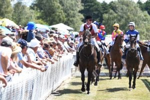 NZ proposed racing calendar