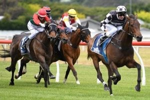 Stakes double would be ‘Sinsational’ for Sharrock
