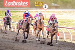 TRNT announces $5k bonus for new horses coming to Territory