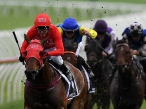 Redzel poised to regain sprint crown