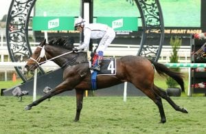 Traduce & Dr Why Not Make It Back-To-Back Wins At Eagle Farm