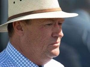 McEvoy doubles up in Warrnambool Cup bid