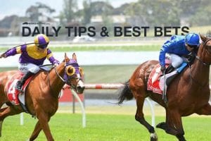 Bendigo race tips and best bets for May 2