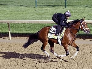 Kentucky Derby runner Patch