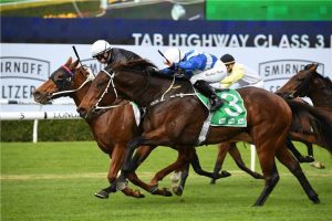 Swagger primed for Albury run in Barlens City Handicap