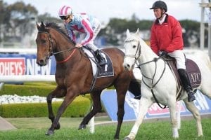 Akavoroun to make his return at Flemington