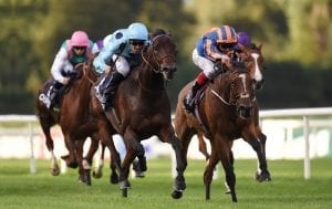 European champion for Cambridge Stud