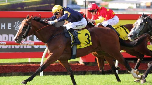 Bittercreek-Spirit-Of-Boom-Classic-500x2