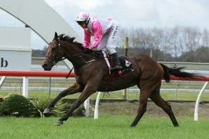 Cup hope chasing major pedigree update