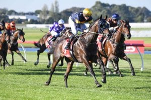 South Australian Derby tips & betting strategy | 8/5/2021