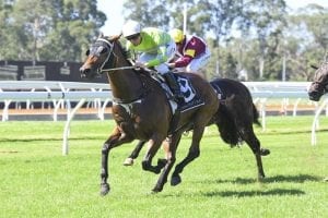 Dissolution stakes claim for Brisbane trip