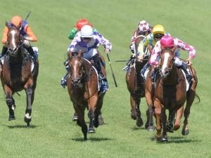 Champagne Cuddles chases first Group One