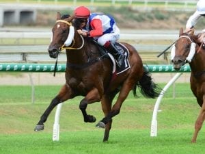 Mishani to hustle for Les Ross at Doomben