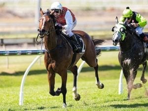 Order Again will stay at 1600m at Doomben