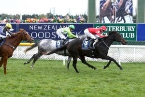 Double for powerful Pitman stable
