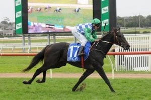Imported youngster to further Derby quest