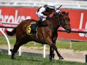 Ciaron Maher chasing Oaks win in Adelaide