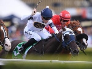 Burning Passion to step up to G1 company
