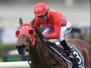 Redzel, In Her Time draw well in 10,000