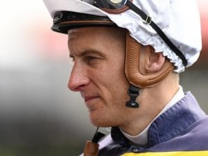 Blake Shinn to ride NZ 3yo Vigor Winner