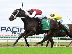The Lord Mayor salutes in Gold Coast Cup