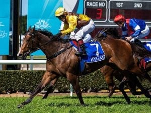 Mare to strut her stuff at the Gold Coast