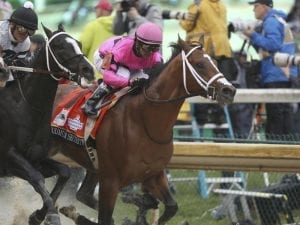 Preakness doubt for Maximum Security