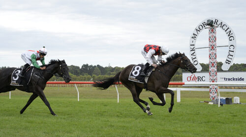 La-Crique-WFA-Classic-scaled-2-500x280.j