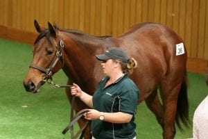 Te Akau strike early at Karaka