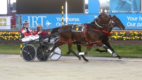 Mikis-Courage-and-Biggles-quinella-Addin