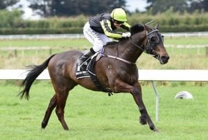 Sprinter chasing perfect return