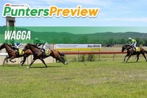 Wagga tips, best bets and quaddie picks | Jan 19