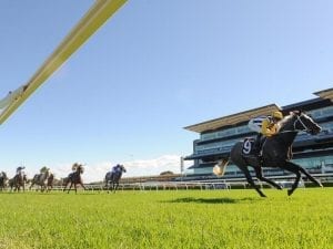 Nobu ignites Group 1 Queensland Derby bid