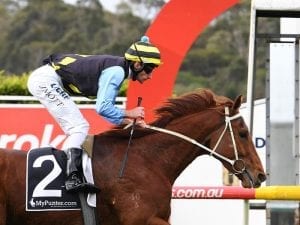 Southey breaks metro drought at Sandown