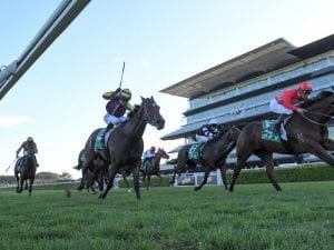Double shot at Guineas for Tracey Bartley