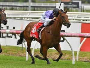 Tropezina to chase black-type at Scone