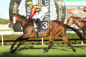 2021 Gold Coast Guineas betting preview | Saturday, May 8