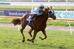 Son Of Zac rockets home at Riccarton