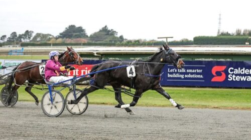 Southside-Of-heaven-blog-may-2024-v2__Re