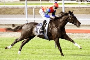 Savvy Surrey scores for mum Makybe Diva