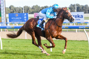 SA Sires' Produce 2021 betting preview | Morphettville R2