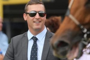 Horse trainer Tony Gollan