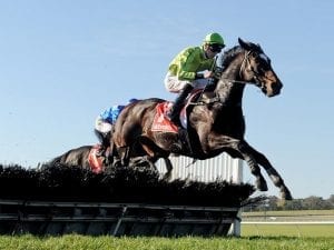 Warrnambool May Carnival Day 2 betting tips | Galleywood Day 2021