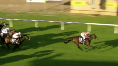 Western-Empire-Wins-Northam-Stakes-500x2