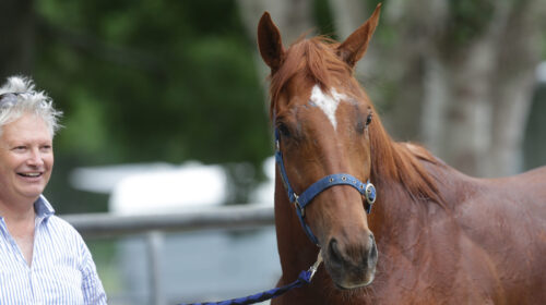 Wewillrock-Lowry-Guy-scaled-1-500x280.jp