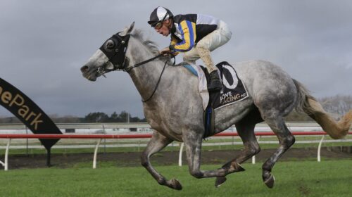 White-Noise-a-1705-002-scaled-1-500x280.