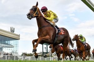 Malibu Style wins at Flemington