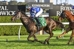 Takeover Target Stakes betting tips & strategy | Gosford R6